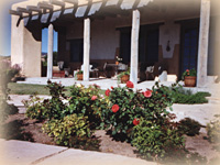 Exceptional wedding services