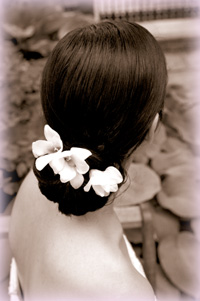 Wedding Planning for your Santa Fe wedding